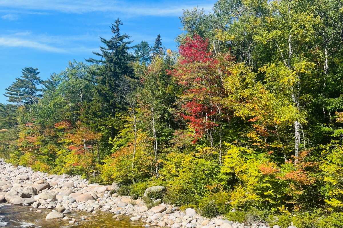 When is the Best Time to See the Kancamagus Highway Fall Foliage?