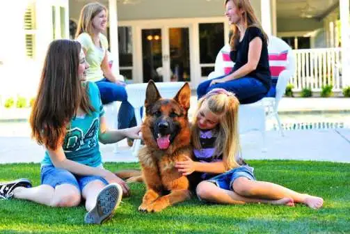 Are German Shepherds Good With Kids?