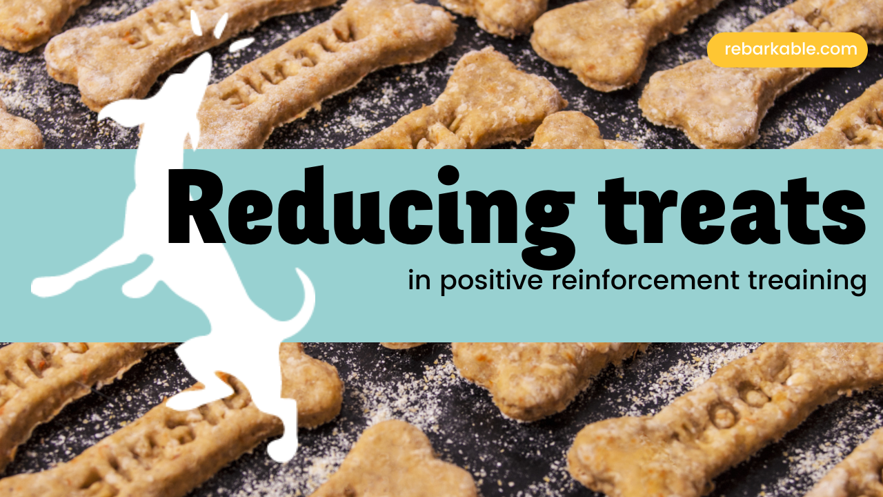 How to Reduce Treats in Positive Reinforcement Training For Dogs!