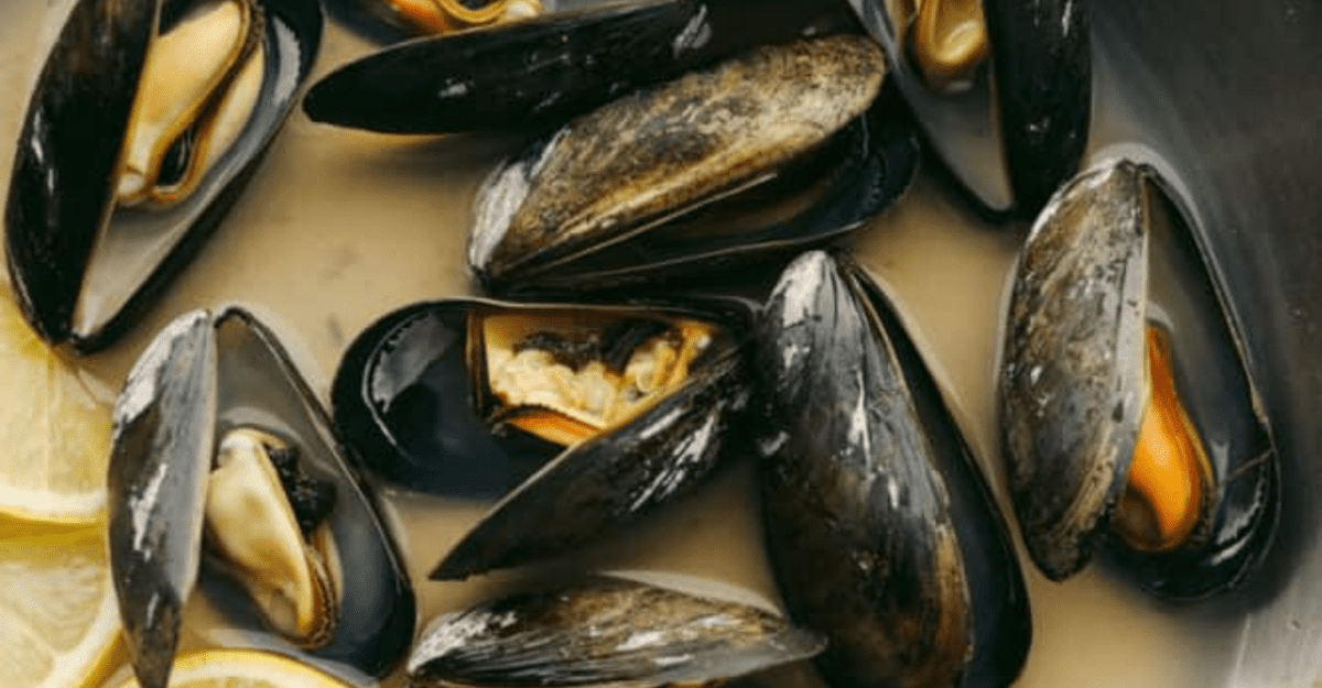 How to Cook Steamed Mussels